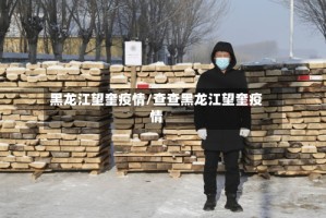 黑龙江望奎疫情/查查黑龙江望奎疫情