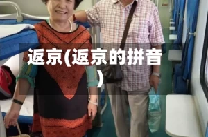 返京(返京的拼音)