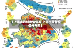 【上海市最新疫情情况,上海市最新疫情分布图】