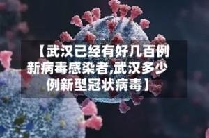 【武汉已经有好几百例新病毒感染者,武汉多少例新型冠状病毒】