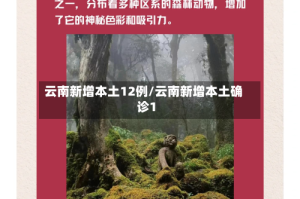 云南新增本土12例/云南新增本土确诊1