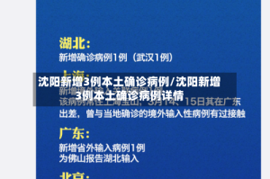 沈阳新增3例本土确诊病例/沈阳新增3例本土确诊病例详情