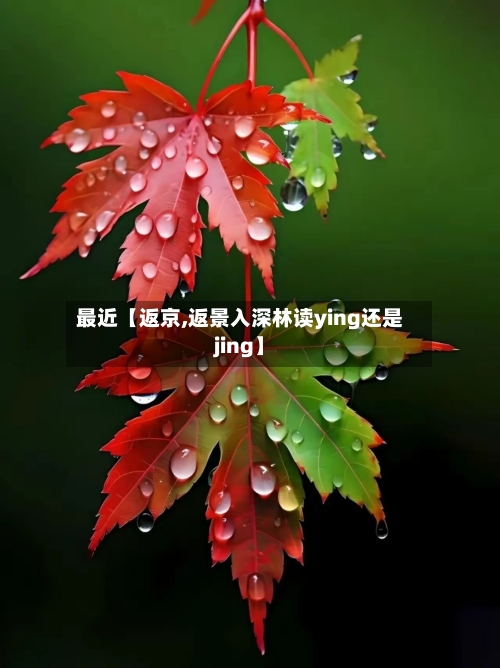 最近【返京,返景入深林读ying还是jing】-第2张图片