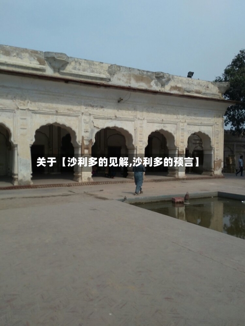 关于【沙利多的见解,沙利多的预言】-第1张图片