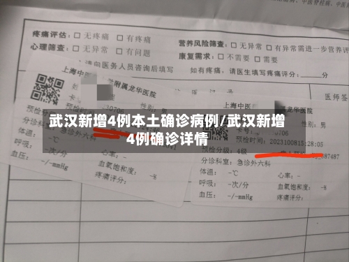 武汉新增4例本土确诊病例/武汉新增4例确诊详情-第1张图片