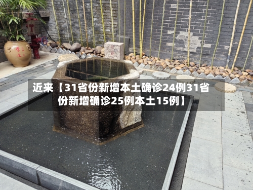 近来【31省份新增本土确诊24例31省份新增确诊25例本土15例】-第3张图片