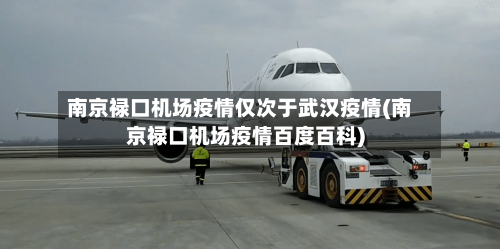 南京禄口机场疫情仅次于武汉疫情(南京禄口机场疫情百度百科)-第1张图片