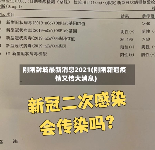 刚刚封城最新消息2021(刚刚新冠疫情又传大消息)-第1张图片