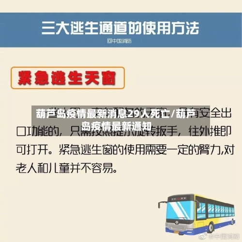 葫芦岛疫情最新消息29人死亡/葫芦岛疫情最新通知-第1张图片
