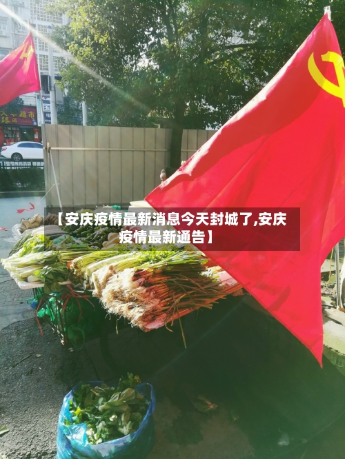 【安庆疫情最新消息今天封城了,安庆疫情最新通告】-第1张图片