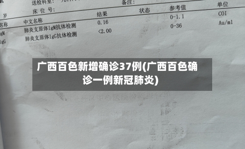 广西百色新增确诊37例(广西百色确诊一例新冠肺炎)-第2张图片