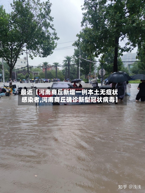 最近【河南商丘新增一例本土无症状感染者,河南商丘确诊新型冠状病毒】-第1张图片